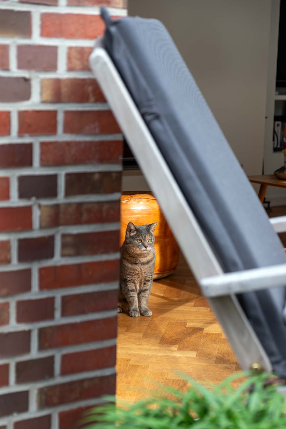 Haus Groß Flottbek II - Image 7